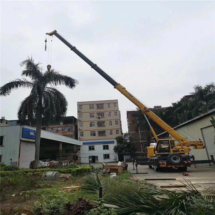 海城吊车吊大树几种方法